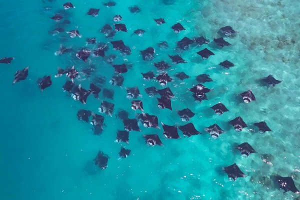 SCUBA DIVING